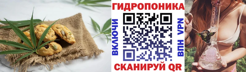 Cannafood конопля  kraken зеркало  Высоковск 