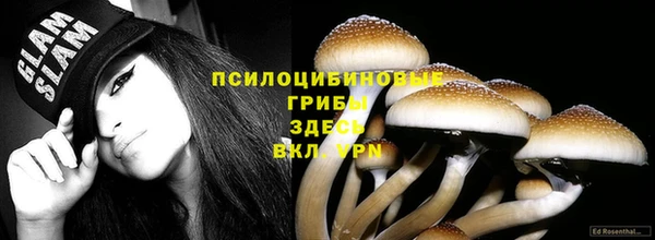 гашик Армянск